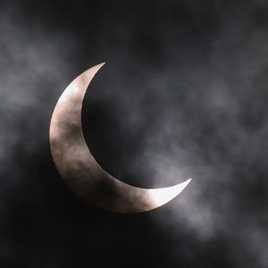 Meet your Posher, Janelle